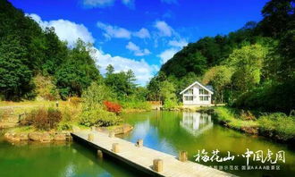 就差你了 中國(guó)虎園梅花山音樂啤酒節(jié)自駕二日游招募中