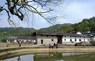 廣東省鄉(xiāng)村旅游精品線 名單公布 始興這條線路入選