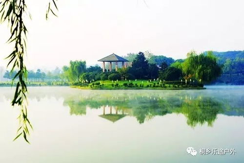 送土雞9月19號(hào)周二 靈谷冬,龍背山,華東百暢生態(tài)園,包門票,包中餐,包無購(gòu)物,再送鮮活土雞 旅游 網(wǎng)