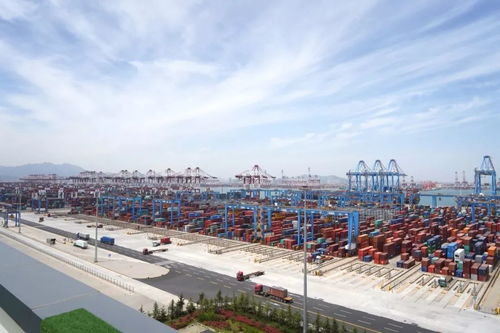 美麗中國 青島 張開雙臂 擁抱上合