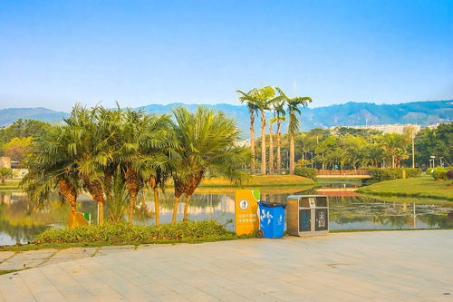 2025 08 04云南彌勒湖泉生態園 六