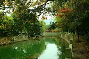 蘇州避暑秘境｜九龍潭生態園 炎夏26℃的清涼天堂，一般人我不告訴TA