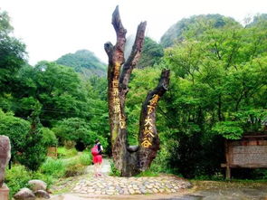 16周歲以下免票游世遺，668元泰寧雙動車2日游 大金湖、寨下大峽谷、九龍潭、尚書第全覽