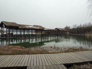 冬韻別致 探訪渤公島生態園與九龍潭生態園的靜謐之美