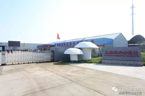 九龍潭生態園 金山區的生態明珠與休閑勝地