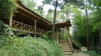 蘇州九龍?zhí)讹L景區(qū)與九龍?zhí)渡鷳B(tài)園 自然與生態(tài)的雙重奏